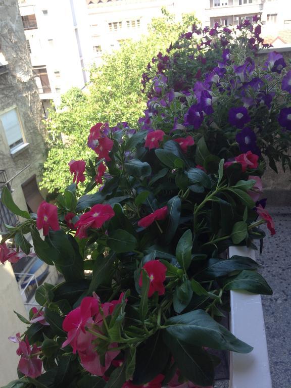Apartment Bohemian Rhapsody بلغراد الغرفة الصورة